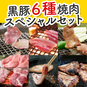 鹿児島Kimikadoお惣菜、家食黒豚焼肉２段重-9